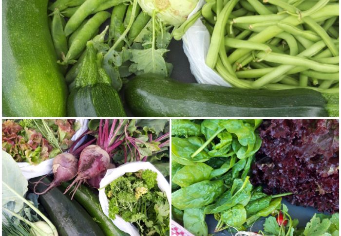 Immunsystem und Ernährung